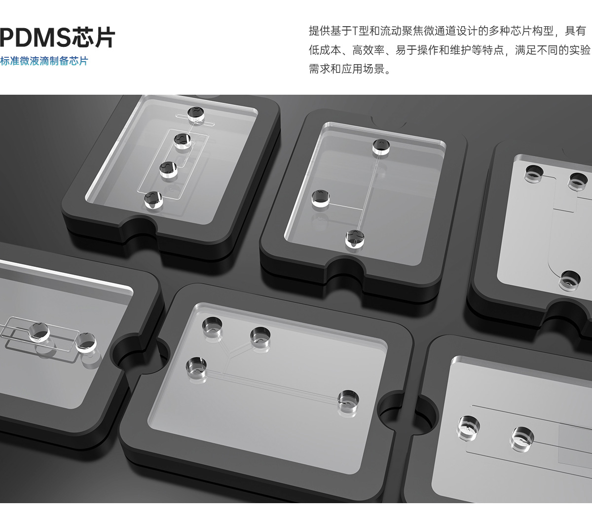 PDMS详情_01.jpg