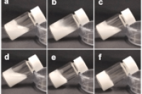 无需合成表面活性剂！蜂蜡-明胶协同稳定O/W/O双乳液，破解双界面稳定难题