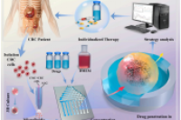 《Chemical Engineering Journal》：集成水凝胶微胶囊的微流控芯片，用于原代结直肠癌细胞培养及化疗评估