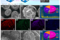 绿色电喷雾技术制备封装氢氧化镧的壳聚糖微球，用于氟离子的高效修复