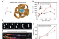 《ACS Nano》：自重构微胶囊机器人，解锁复杂生物环境中的靶向治疗潜能