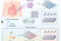 温州医科大学团队新突破：微流控芯片培养原代结肠癌细胞球，助力药物筛选与临床精准治疗