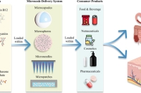 一图速览：适用于不同功能性消费品的亲水活性成分微尺度递送系统
