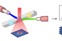 3小时出结果！微流控液滴 + 角分辨光散射成像，革新多重抗生素耐药表型检测