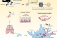 微流控技术开发病毒模拟纳米疫苗：突破肺部先天生理屏障，增强免疫应答