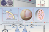 《Chemical Engineering Journal》：微流控技术制备磁性微胶囊吸附剂，用于增强CO2捕获