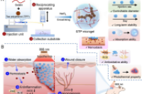受微流控启发制备具有内在生物活性的微凝胶，用于烧伤创面治疗