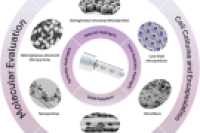 液滴微流控工程化生物材料：从结构设计到生物医学应用