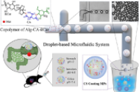 微流控技术制备增强型海藻酸盐微粒，用于美沙拉嗪结肠靶向递送