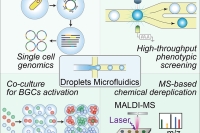 液滴微流控策略突破抗生素发现瓶颈