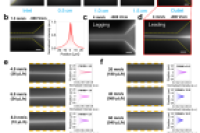 结合电场和非牛顿流体的粘弹性特性，实现纳米颗粒高通量精准操控