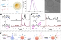 pH响应型抗氧化干细胞微球，促进骨质疏松性骨再生