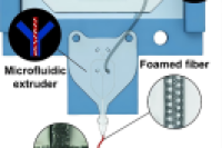 微流控3D生物打印制备具有可控微观形貌的泡沫纤维