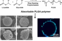 具有可调降解性与形态的多孔PLGA微球制备及应用