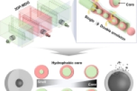 3D打印并行模块化设备，让双乳液模板微胶囊制备更稳定、更高效！