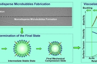 超声诊疗新突破！磷脂微泡的表面积依赖性粘弹性这次终于厘清了