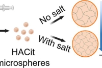 可生物降解柠檬酸钠处理透明质酸微球，用于膝动脉栓塞治疗