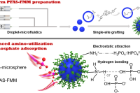 液滴微流控“点石成金”：PFAS污染物变身高效磷酸盐吸附剂