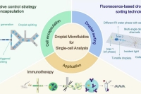 液滴微流控技术用于单细胞分析：从细胞封装与分选技术优化到多领域创新应用