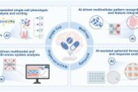 AI集成微流控技术用于药物筛选：从单细胞到器官芯片