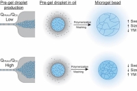 不换配方，只调流速：微流控界面传质实现PAAm微凝胶弹性微调