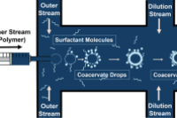 无模板微流控制备水包水微胶囊，实现可控释放