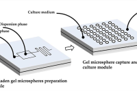 一款芯片搞定微球制备 + 细胞培养，单细胞研究更高效