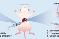 微流控技术制备单分散镥-177标记的PLLA微球，用于肝细胞癌TARE治疗