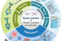 鞘流辅助弹惯性微流控技术用于微/纳米颗粒操控：从基础理论到生物医学应用