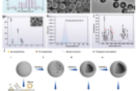 微流控连续流构筑负载双金属纳米颗粒的聚合物微球，用于受限协同催化