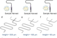 气动驱动微流控平台，破解mRNA递送用聚合物纳米颗粒合成难