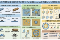 由管状纳米颗粒稳定的层级油包水包油Pickering双乳液